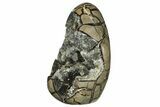 7.6" Free-Standing, Polished Septarian Geode - Black Crystals - #202554-2